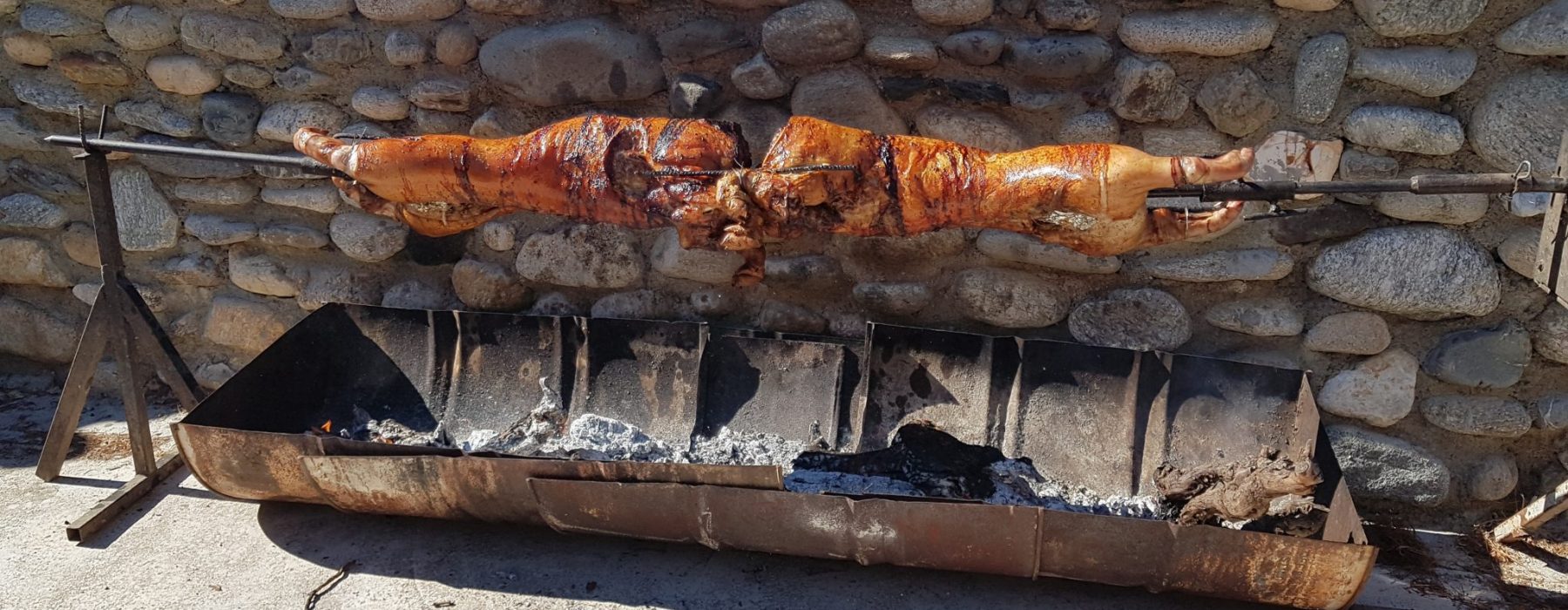 repas service pins le congo ceret