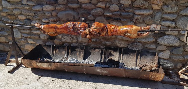 repas service pins le congo ceret