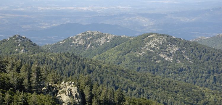 massif d'albera Pyrénées