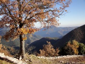 camping pyrénées orientales