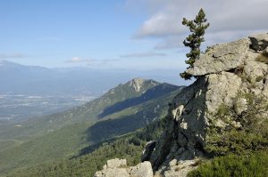 Les Albères proche du camping Pyrénées Orientales montagne