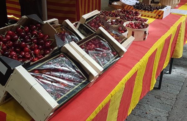 marché de céret